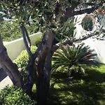 Luongo * Forio di Ischia