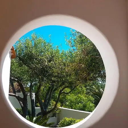 Διαμέρισμα Luongo *