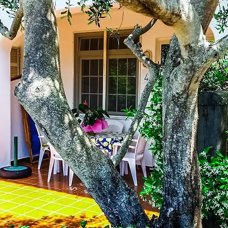 Luongo Forio di Ischia