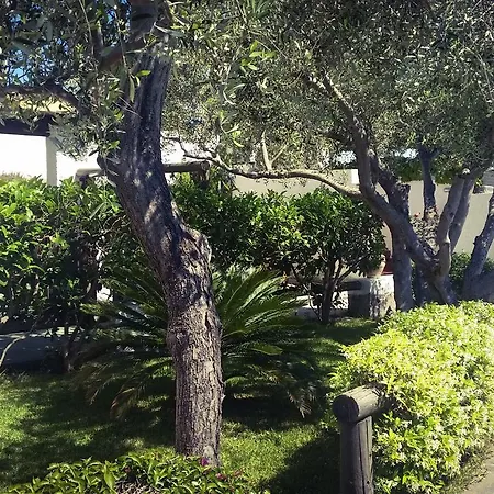 Luongo * Forio di Ischia