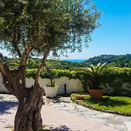 Luongo Forio di Ischia