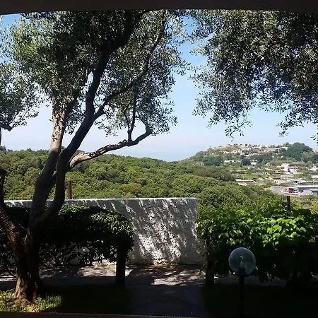 Luongo Appartamento *