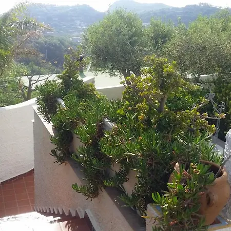 Appartement Luongo *