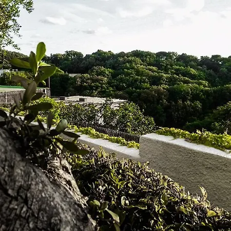 Appartamento Luongo *