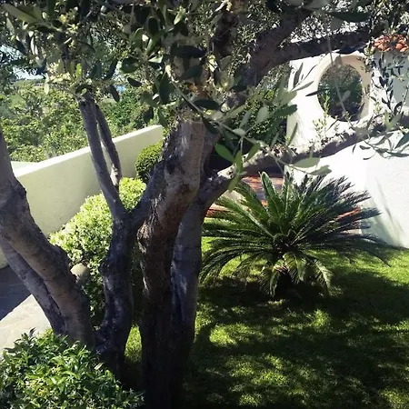 Luongo * Forio di Ischia