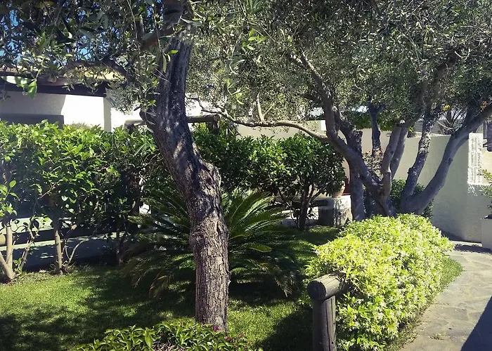 Luongo * Forio di Ischia