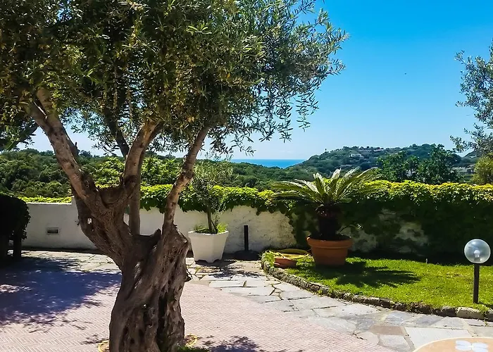 Luongo Forio di Ischia