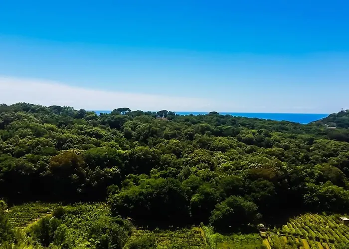 Luongo Appartement *