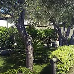 Luongo * Forio (Isola d'Ischia)