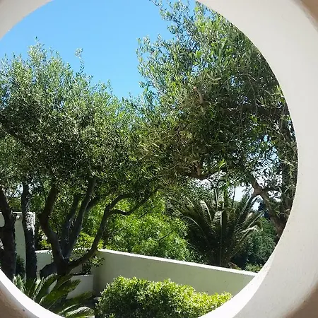 Apartmán Luongo *