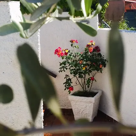 Luongo Apartmán *