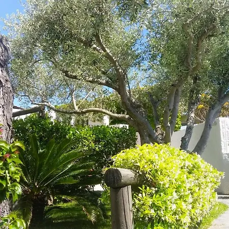 Apartmán Luongo