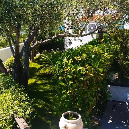Luongo Apartmán Forio di Ischia